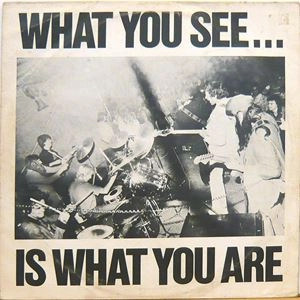 ALTERNATIVE TV / オルタナティヴ・TV / WHAT YOU SEE... IS WHAT YOU ARE