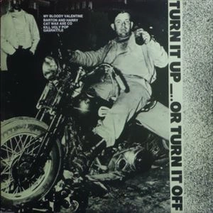V.A. / オムニバス / TURN IT UP........OR TURN IT OFF