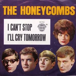 HONEYCOMBS / ハニーカムズ / I CAN'T STOP / I CANT STOP