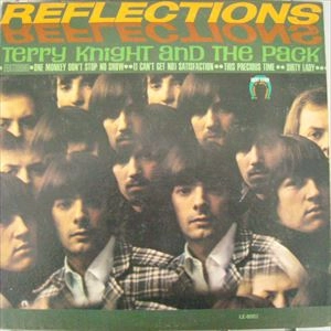 TERRY KNIGHT AND THE PACK / テリー・ナイト・アンド・ザ・パック / REFLECTIONS