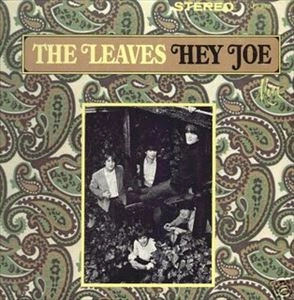 LEAVES (60's US GARAGE ROCK) / リーヴス / HEY JOE