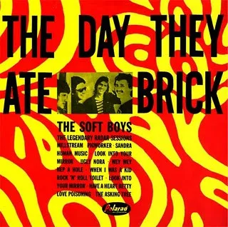 SOFT BOYS / ソフト・ボーイズ / DAY THEY ATE BRICK