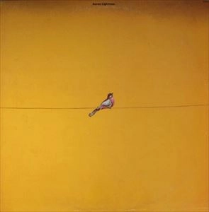 AARON LIGHTMAN / アーロン・ライトマン / AARON LIGHTMAN