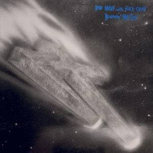 DIE HAUT / BURNIN'THE ICE