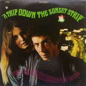 LEATHERCOATED MINDS / レザーコーテッド・マインド / A TRIP DOWN THE SUNSET STRIP