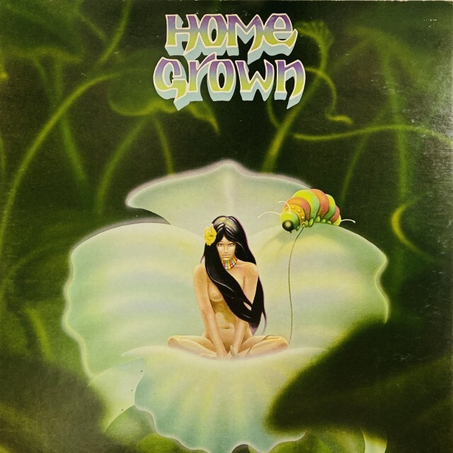 V.A. / オムニバス / HOME GROWN
