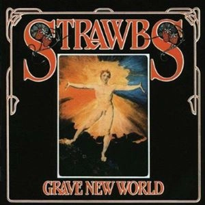 STRAWBS / ストローブス / GRAVE NEW WORLD