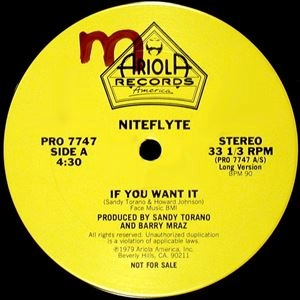 NITEFLYTE / ナイトフライト / IF YOU WANT IT