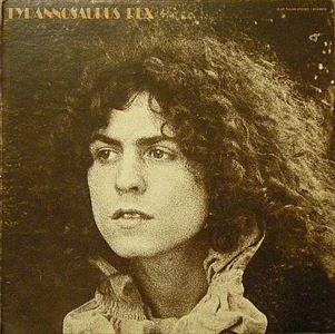 TYRANNOSAURUS REX / ティラノザウルス・レックス / A BEARD OF STARS