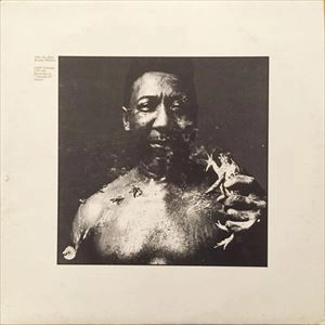 MUDDY WATERS / マディ・ウォーターズ / AFTER THE RAIN