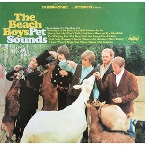 PET SOUNDS / BEACH BOYS / ビーチ・ボーイズ / オールドロック