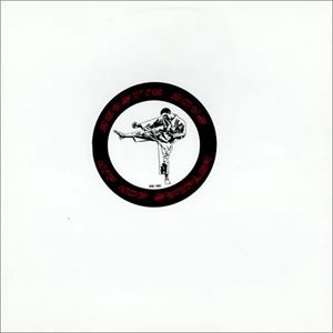 BEASTIE BOYS / ビースティ・ボーイズ / HIP HOP SAMPLER