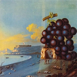 WOW / MOBY GRAPE / モビー・グレープ / オールドロック | ディスク