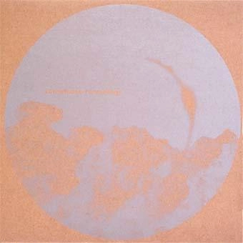 TERRE THAEMLITZ / テーリ・テムリッツ / RAW THROUGH A STRAW