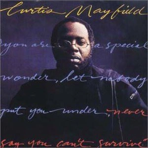 CURTIS MAYFIELD / カーティス・メイフィールド / NEVER SAY YOU CAN'T SURVIVE