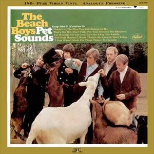 BEACH BOYS / ビーチ・ボーイズ / PET SOUNDS