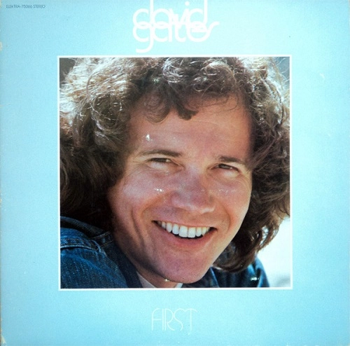 DAVID GATES / デヴィッド・ゲイツ / FIRST