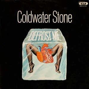 FREDDY BRIGGS (COLDWATER STONE) / フレディ・ブリッグス / DEFROST ME
