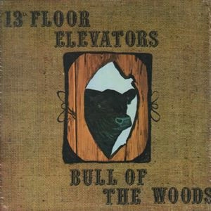 13TH FLOOR ELEVATORS / サーティーンス・フロア・エレヴェーターズ / BULL OF THE WOODS