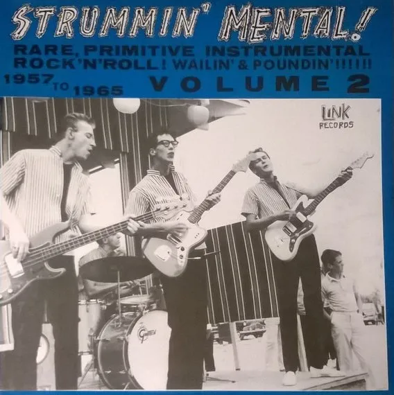 V.A / STRUMMIN' MENTAL!