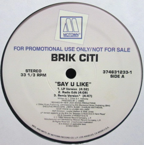 BRIK CITI / ブリック・シティ 商品一覧 | ディスクユニオン
