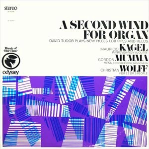 DAVID TUDOR / デヴィッド・チュードア / SECOND WIND FOR ORGAN