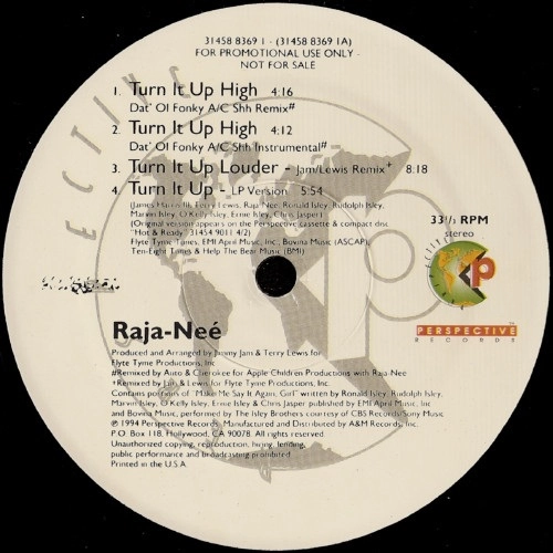 RAJA-NEE / TURN IT UP