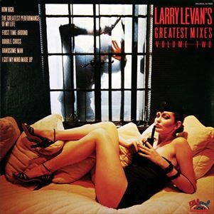 V.A. / オムニバス / LARRY LEVAN'S GREATEST MIXES VOLUME TWO