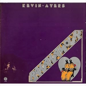 KEVIN AYERS / ケヴィン・エアーズ 商品一覧 | ディスクユニオン