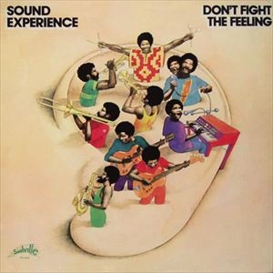 SOUND EXPERIENCE / サウンド・エクスペリエンス / DON'T FIGHT THE FEELING