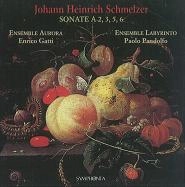 ENRICO GATTI / エンリコ・ガッティ / SCHMELZER:SONATA2/3/5