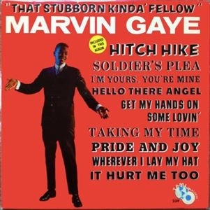 MARVIN GAYE / マーヴィン・ゲイ / THAT STUBBORN KINDA FELLOW