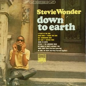 STEVIE WONDER / スティーヴィー・ワンダー / DOWN TO EARTH