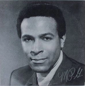MARVIN GAYE / マーヴィン・ゲイ / M.P.G.