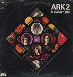 FLAMING YOUTH / フレイミング・ユース / ARK 2