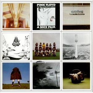 PINK FLOYD / ピンク・フロイド / NICE PAIR