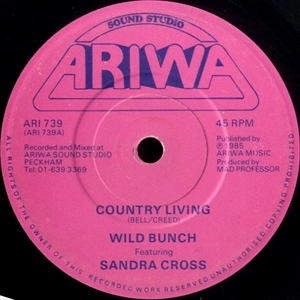 WILD BUNCH (REGGAE) / ワイルド・バンチ / COUNTRY LIVING