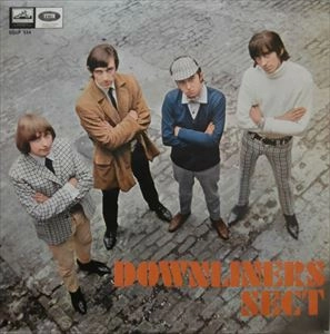 DOWNLINERS SECT / ダウンライナーズ・セクト / DOWNLINERS SECT