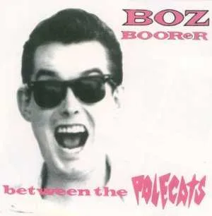 BOZ BOORER / ボズブーラー / BETWEEN THE POLECATS