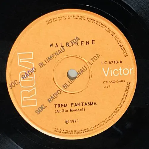 WALDIRENE / TREM FANTASMA
