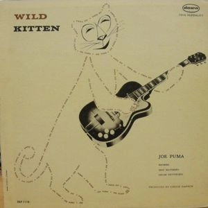JOE PUMA / ジョー・ピューマ / WILD KITTEN