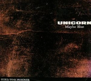 UNICORN / ユニコーン / MAYBE BLUE