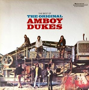 AMBOY DUKES / アンボイ・デュークス / BEST OF THE ORIGINAL AMBOY DUKES