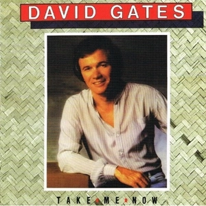 DAVID GATES / デヴィッド・ゲイツ / TAKE ME NOW