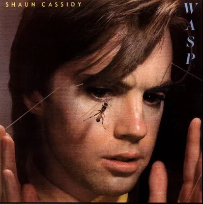SHAUN CASSIDY / WASP