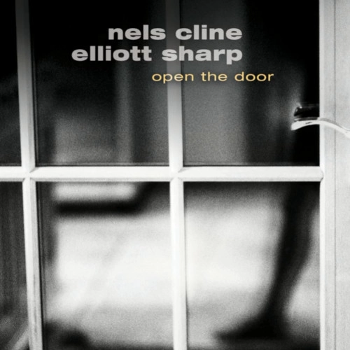 NELS CLINE / ネルス・クライン / OPEN THE DOOR