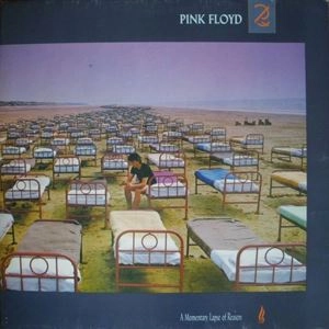 PINK FLOYD / ピンク・フロイド / MOMENTARY LAPSE OF REASON