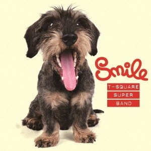T-SQUARE(THE SQUARE) / T-スクェア (ザ・スクェア) / Ｓｍｉｌｅ（ＤＶＤ付）　　　　