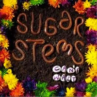 SUGAR STEMS / シュガー・ステムズ / CAN'T WAIT