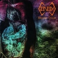 GONOBA / ENDLESS CYCLE<DIGI>
